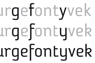 Caractere typographique
