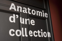 «Anatomie d’une collection»
